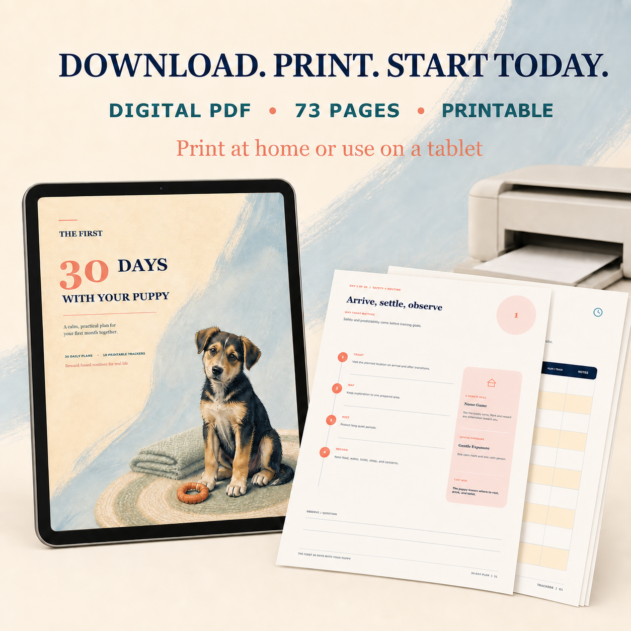 Digital workbook download details